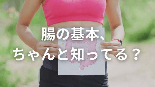 腸活前に知っておきたい!腸のしくみと大切な働き