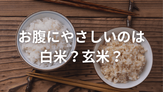 お米は毎日の主役。だからこそ、自分に合った選び方を🍚