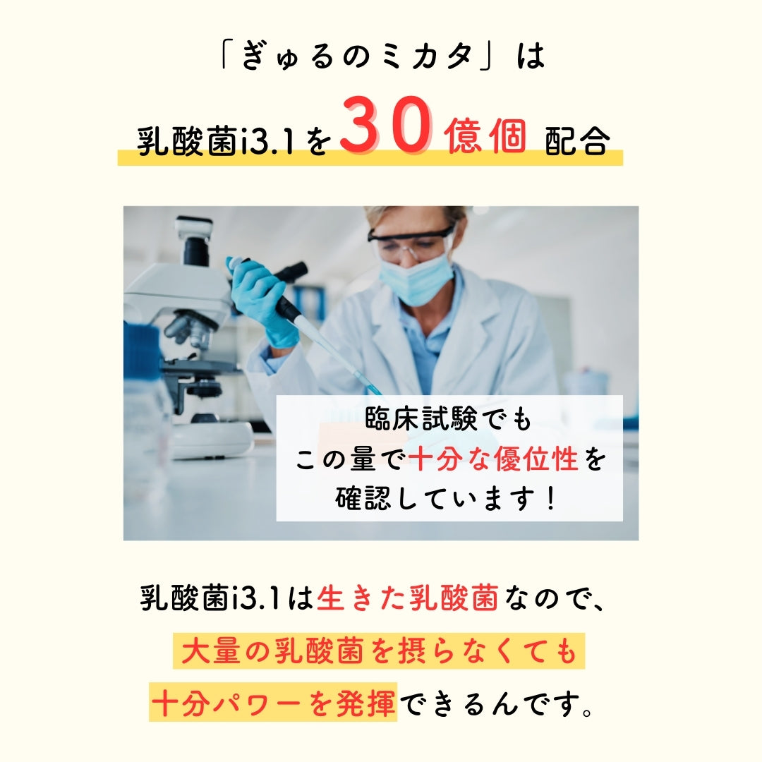 予約販売【次回9月末入荷予定】ぎゅるのミカタ