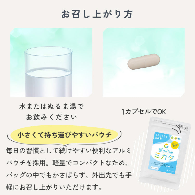 ぎゅるのミカタ