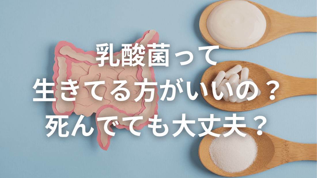乳酸菌って生きてる方がいいの？死んでても大丈夫？🤔