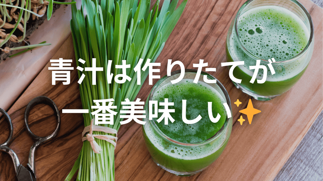 酵素も味も活きてる！作りたての青汁を楽しもう✨