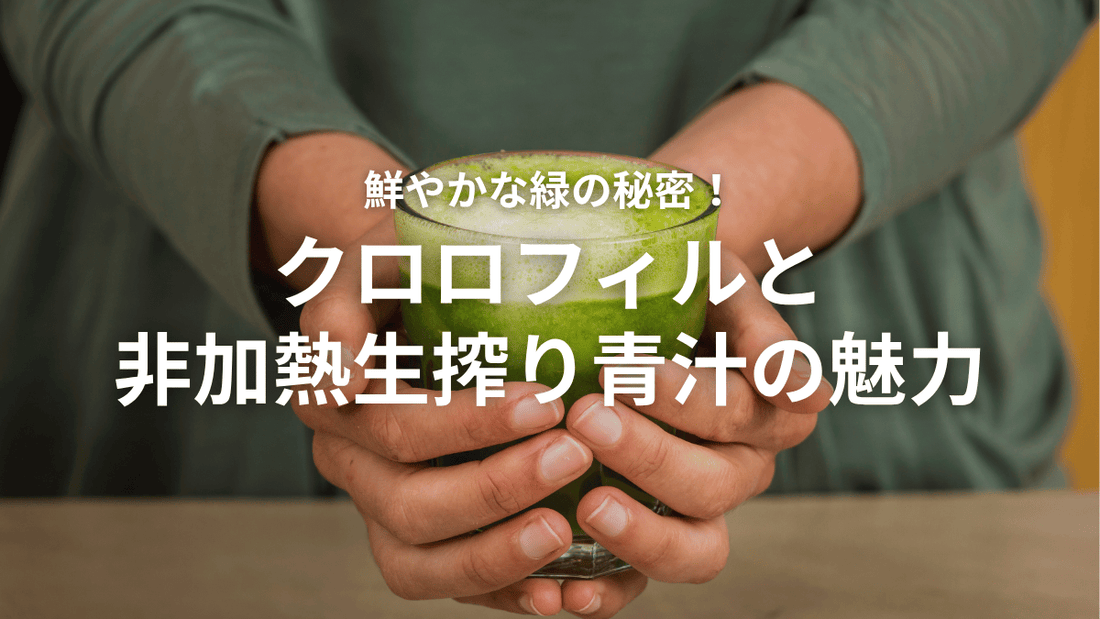 緑のチカラで毎日すっきり！クロロフィルの秘密とは？