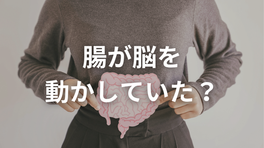 腸が脳を動かしていた？最新研究でわかった脳腸相関の真実