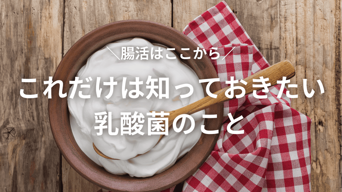 腸活はここから！これだけは知っておきたい乳酸菌のこと📘
