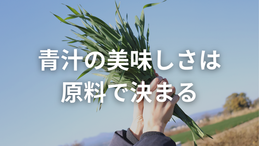 一般流通しない稀少品種。クリアな青汁に使っている「大麦若葉」の話