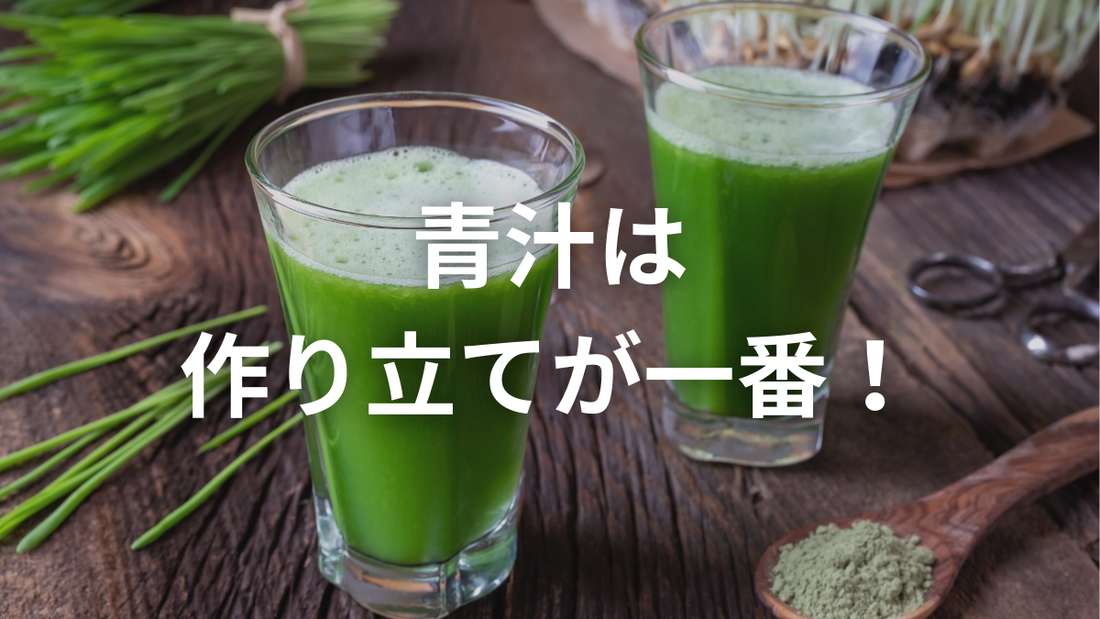 🌱青汁は作り置きNG？その理由と美味しく飲むコツ