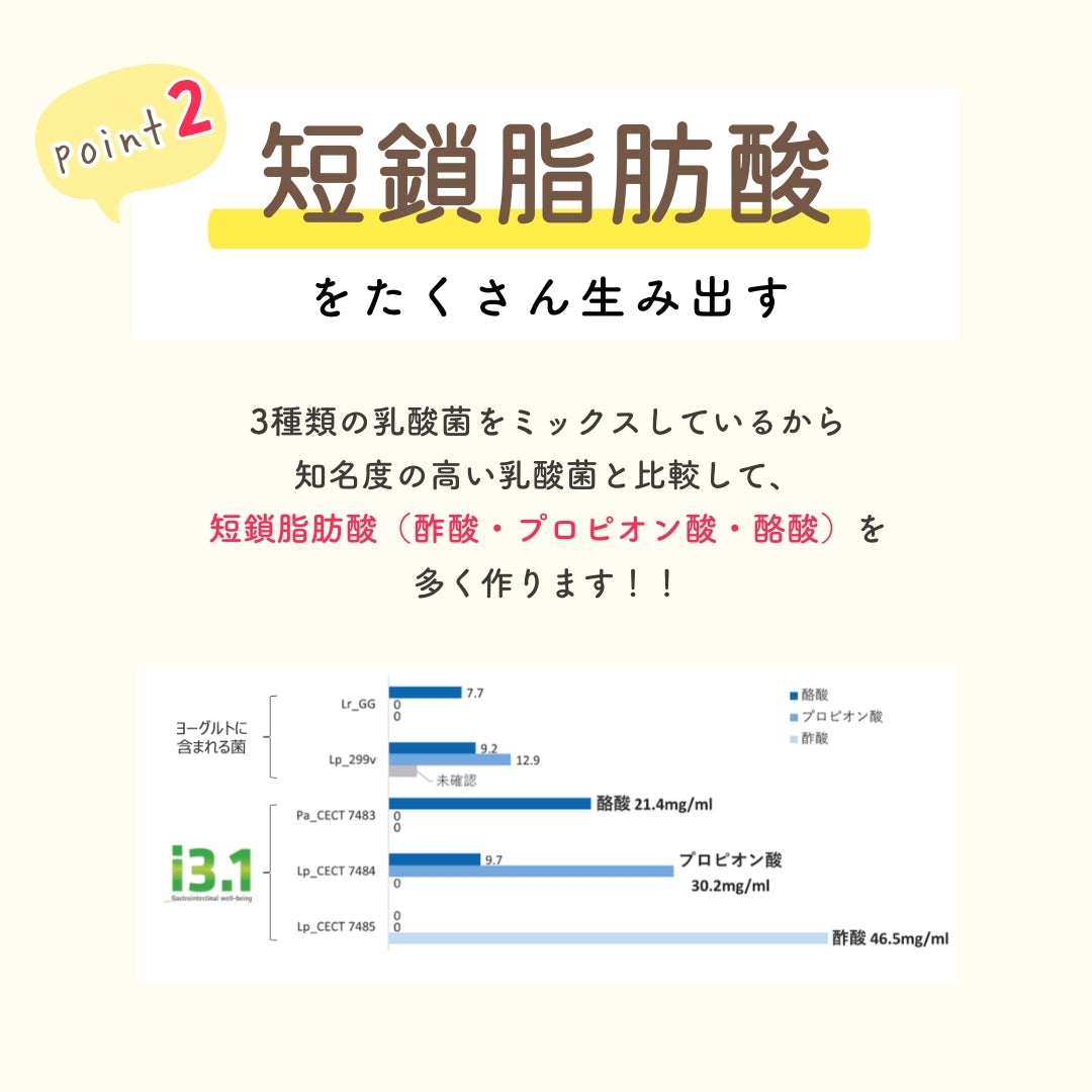 予約販売【次回9月末入荷予定】ぎゅるのミカタ