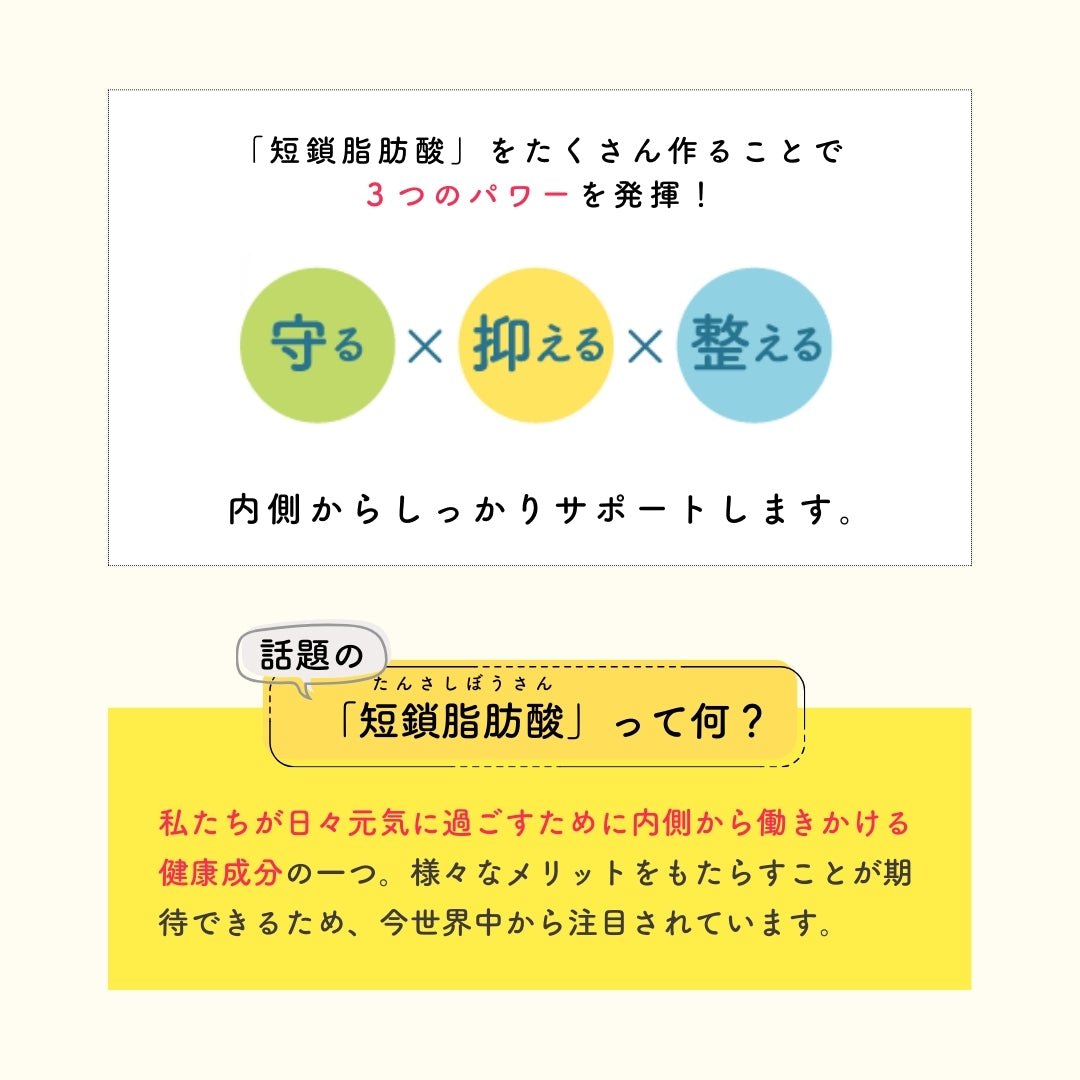 予約販売【次回9月末入荷予定】ぎゅるのミカタ