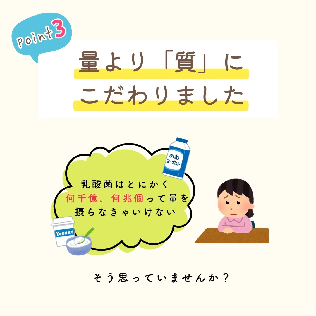 予約販売【次回9月末入荷予定】ぎゅるのミカタ