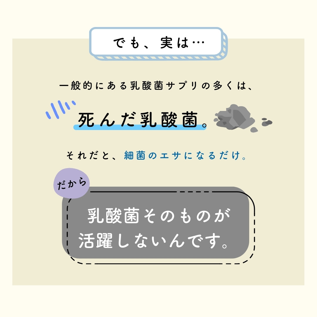 予約販売【次回9月末入荷予定】ぎゅるのミカタ