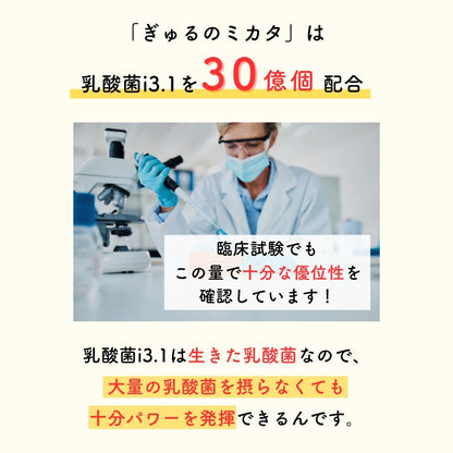 予約販売【次回9月末入荷予定】ぎゅるのミカタ