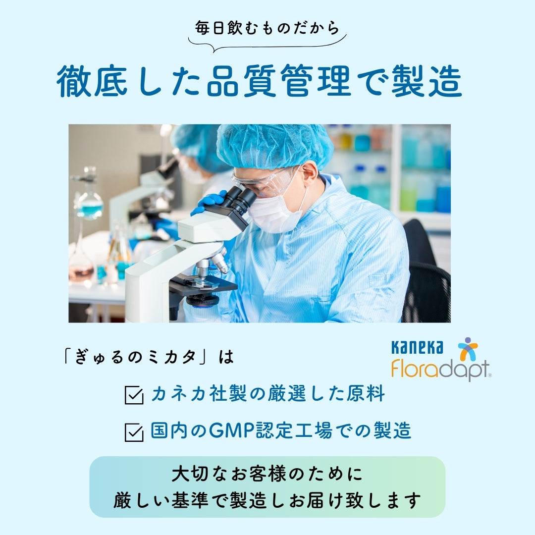 予約販売【次回9月末入荷予定】ぎゅるのミカタ