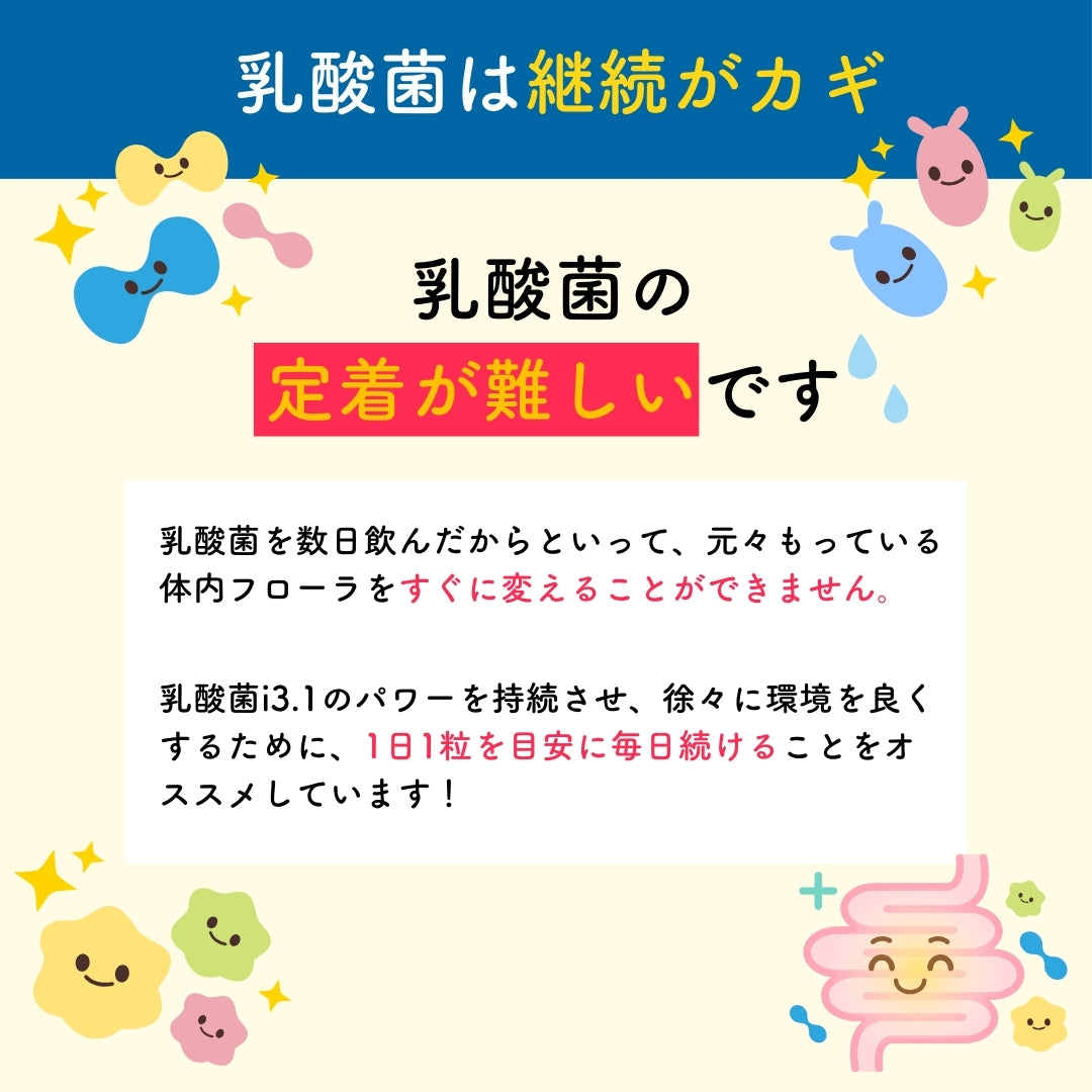 予約販売【次回9月末入荷予定】ぎゅるのミカタ