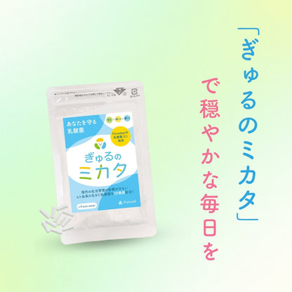 予約販売【次回9月末入荷予定】ぎゅるのミカタ