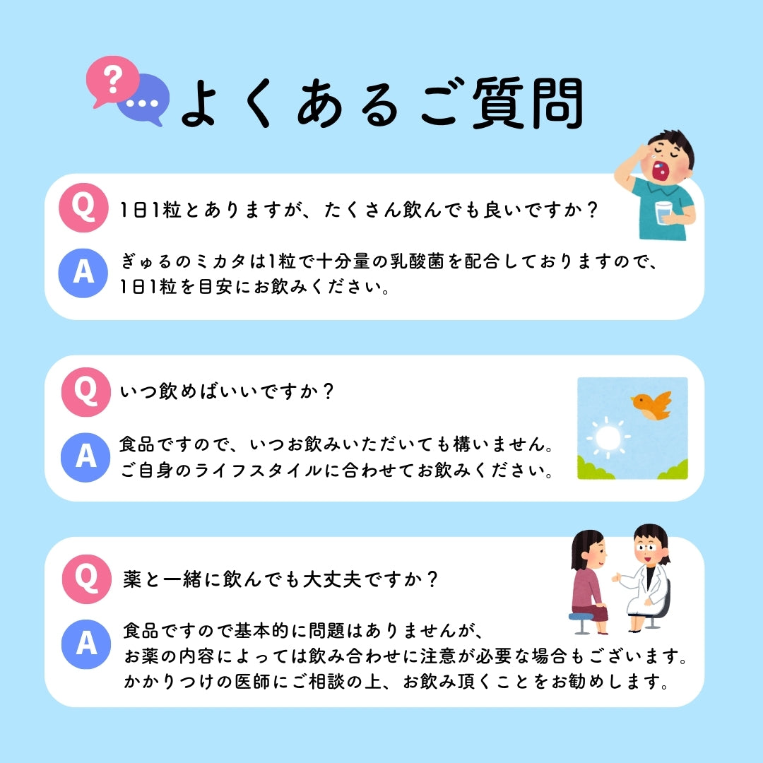 予約販売【次回9月末入荷予定】ぎゅるのミカタ
