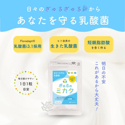 予約販売【次回9月末入荷予定】ぎゅるのミカタ