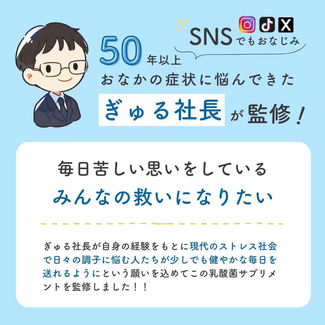 予約販売【次回9月末入荷予定】ぎゅるのミカタ