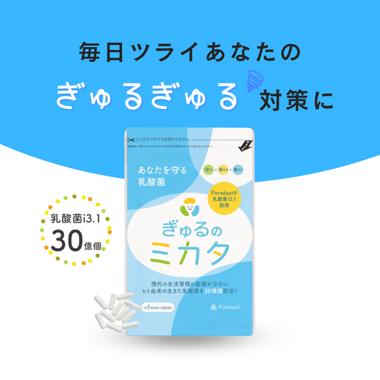ぎゅるのミカタ 1袋30粒入
