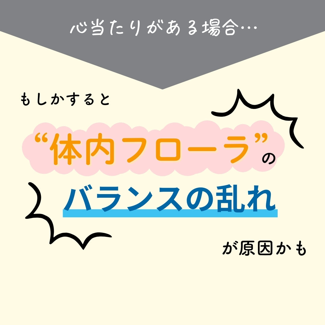予約販売【次回9月末入荷予定】ぎゅるのミカタ