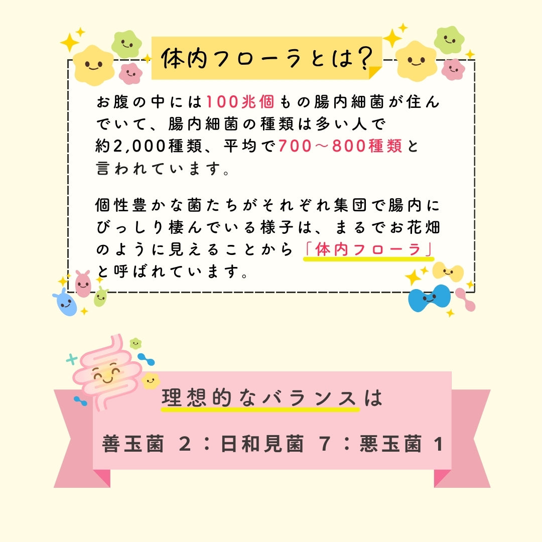 予約販売【次回9月末入荷予定】ぎゅるのミカタ