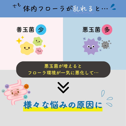 予約販売【次回9月末入荷予定】ぎゅるのミカタ