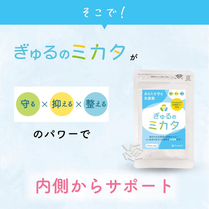 予約販売【次回9月末入荷予定】ぎゅるのミカタ