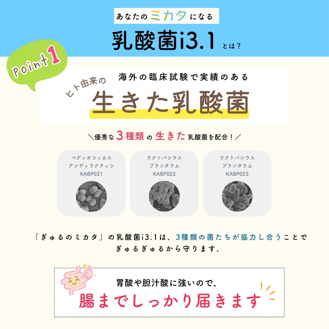 予約販売【次回9月末入荷予定】ぎゅるのミカタ