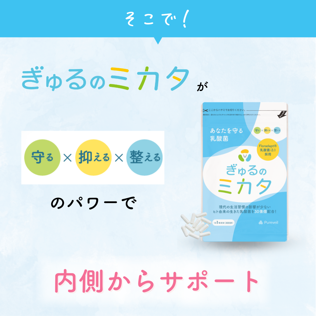ぎゅるのミカタ 1袋30粒入