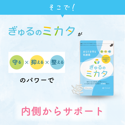 ぎゅるのミカタ 1袋30粒入