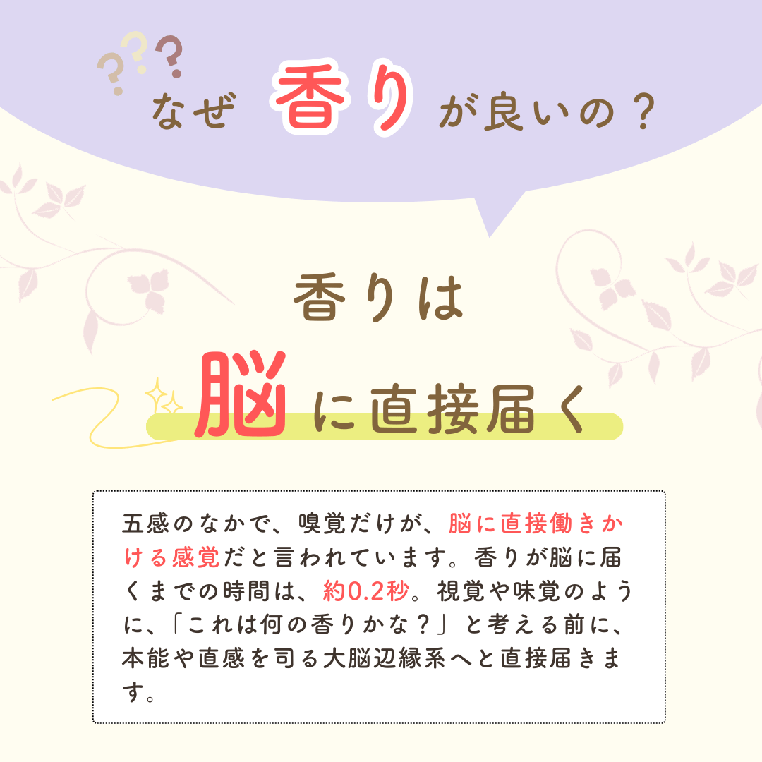 Supucci（スプッチ）