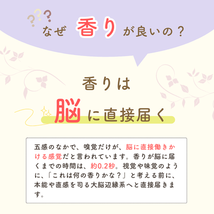 Supucci（スプッチ）