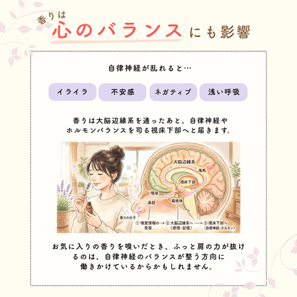 Supucci（スプッチ）