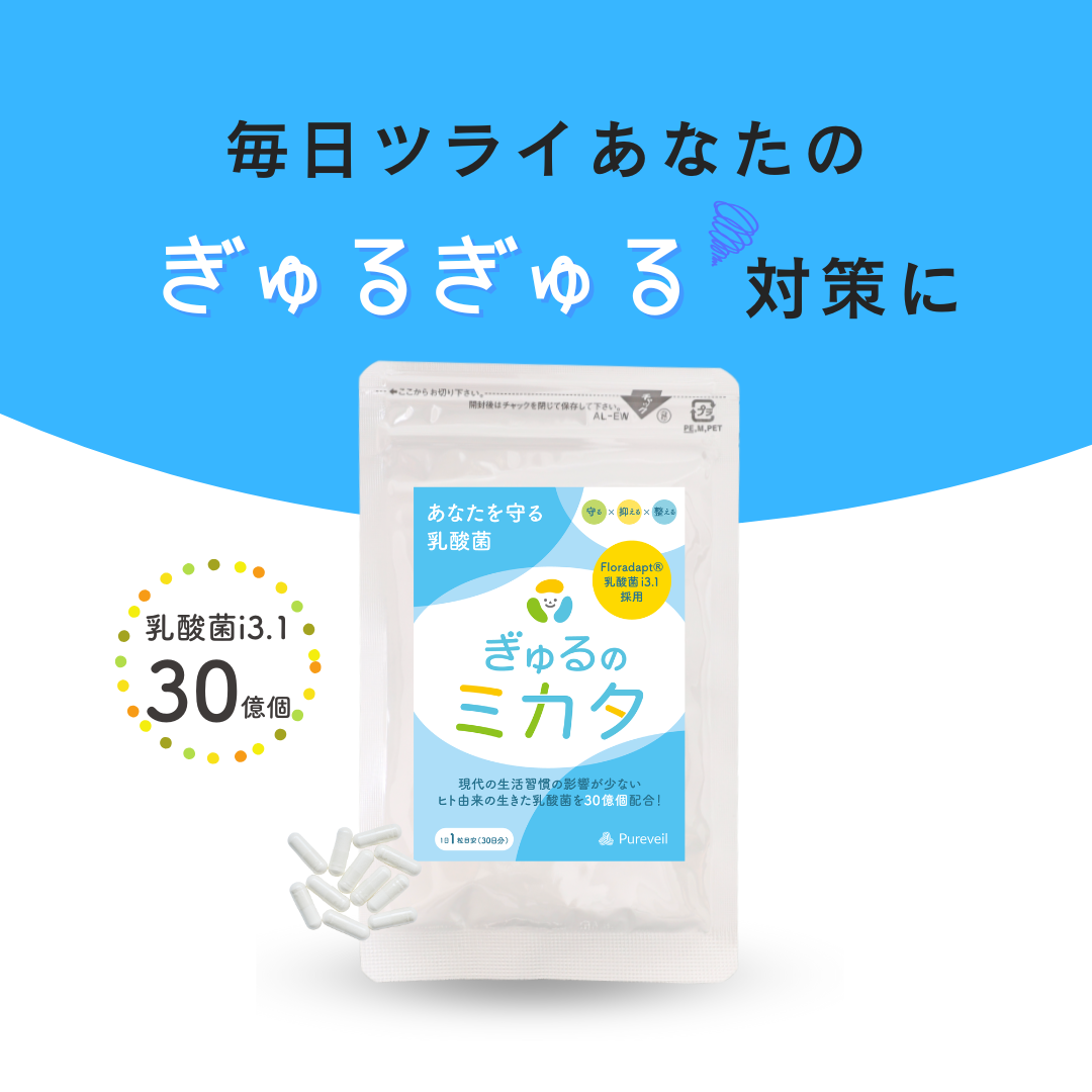 予約販売【次回9月末入荷予定】ぎゅるのミカタ