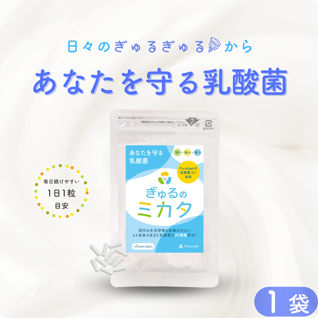 予約販売【次回9月末入荷予定】ぎゅるのミカタ