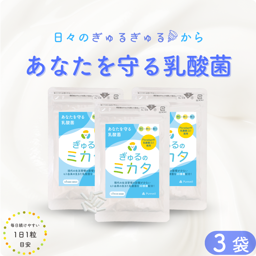 予約販売【次回9月末入荷予定】ぎゅるのミカタ