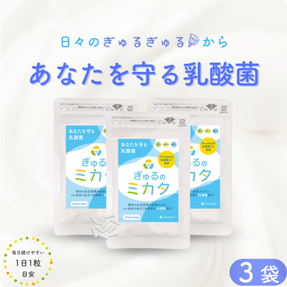 予約販売【次回9月末入荷予定】ぎゅるのミカタ