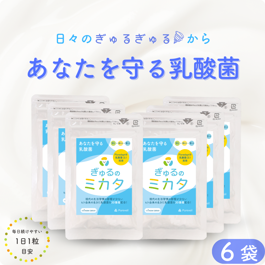 予約販売【次回9月末入荷予定】ぎゅるのミカタ