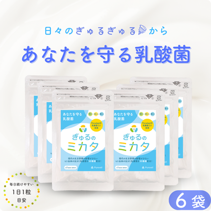 予約販売【次回9月末入荷予定】ぎゅるのミカタ