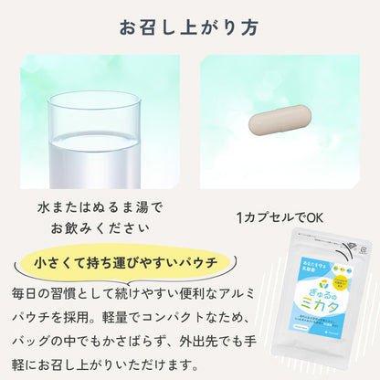 ぎゅるのミカタ