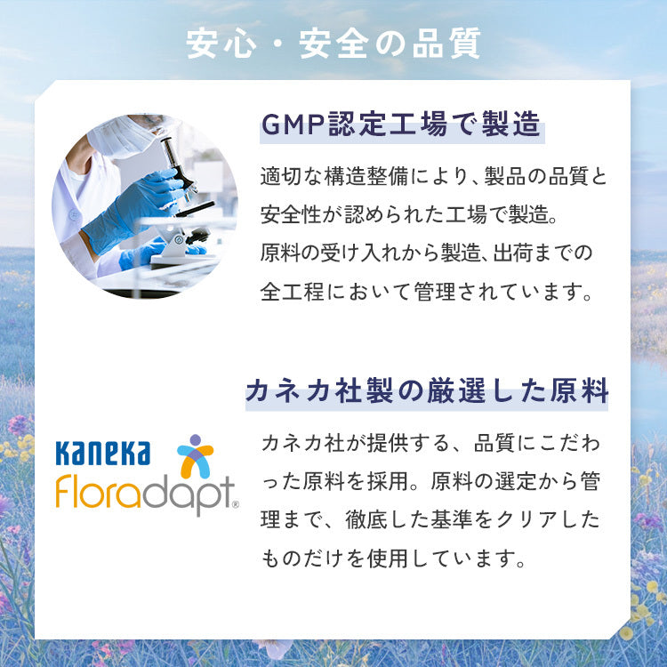 ぎゅるのミカタ